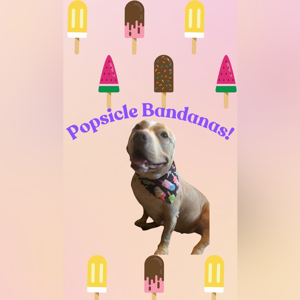 Popsicles Pet Dog Cat Bandana for Boy Girl Unisex Medium Large OSFM!